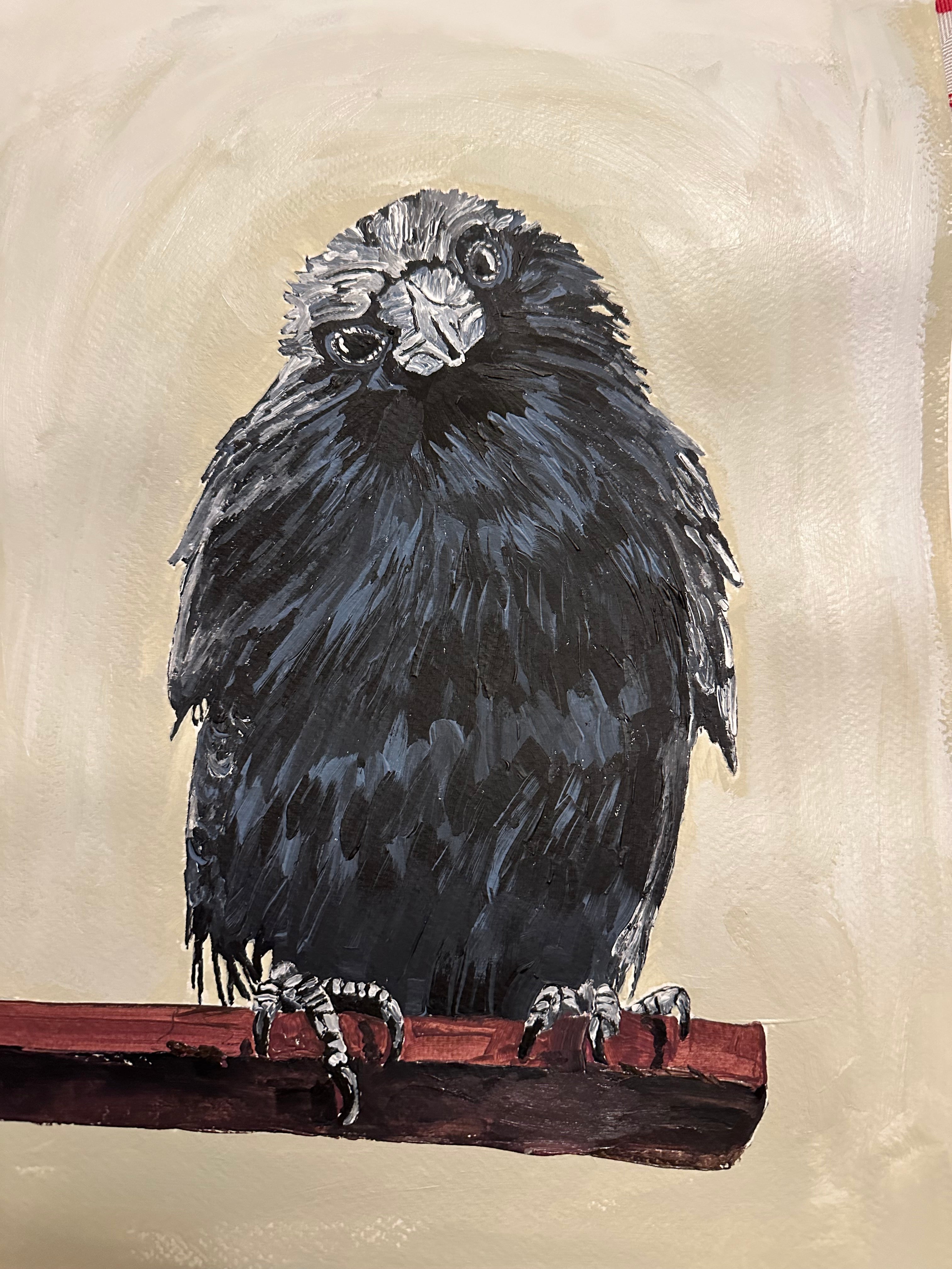 Raven with a question