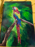 Parrot red