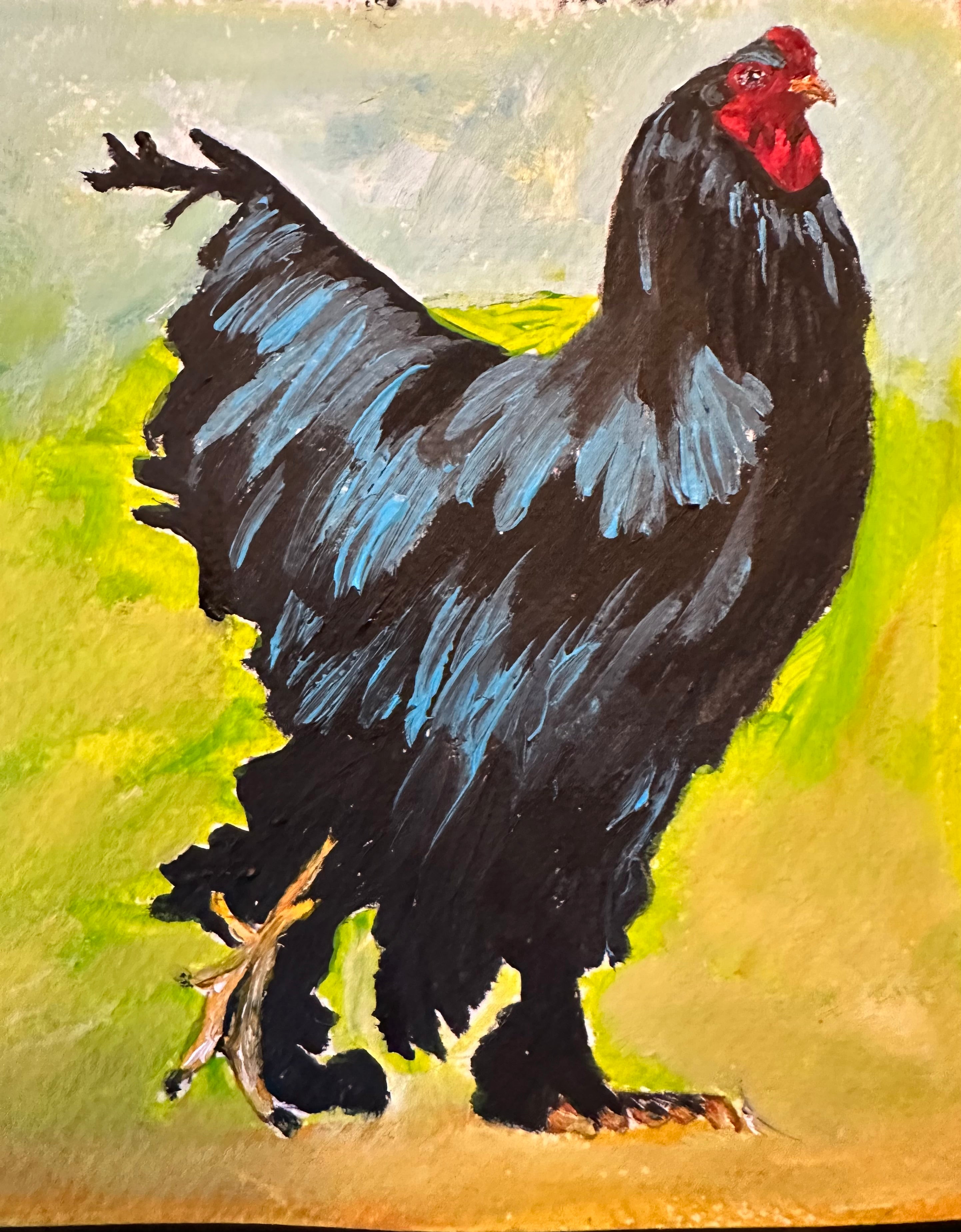 Rooster walking
